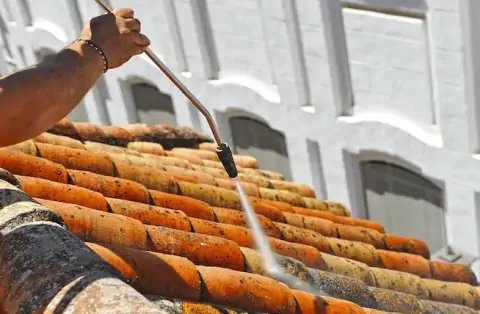 Nettoyage de toitures - Goupil-Othon